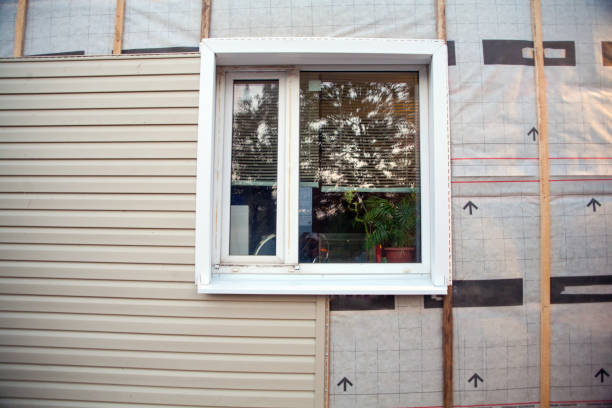 Shed Removal in Torrington, WY