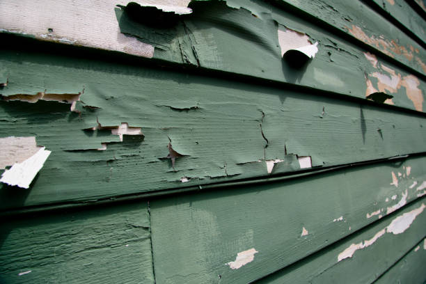 Best Recycling Services for Junk  in Torrington, WY