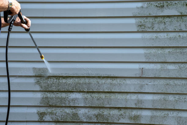 Best Demolition Debris Removal  in Torrington, WY